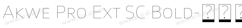 Akwe Pro Ext SC Bold字体转换